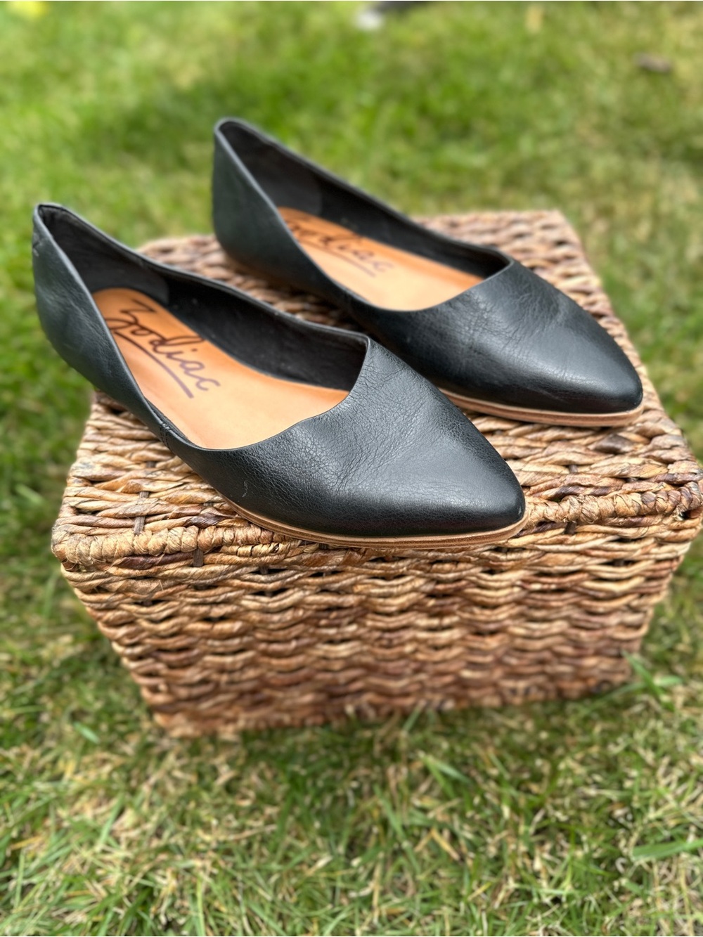Zodiac Black Pointed Toe Leather Flats